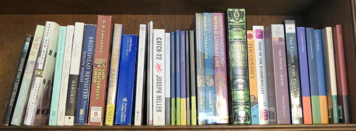 Shelf of Classic Literature