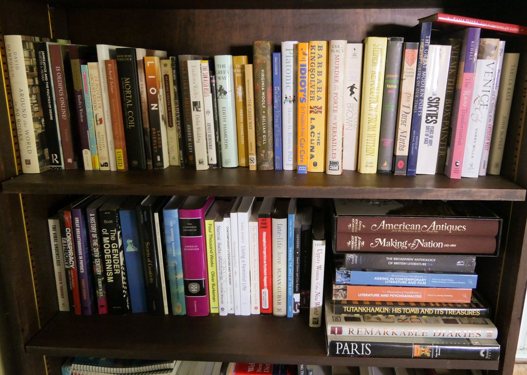 Two Shelves of Non Fiction Books