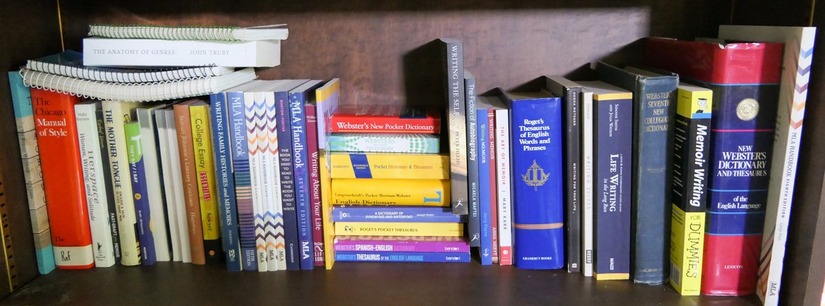 Shelf of Books Providing Writing Instructions