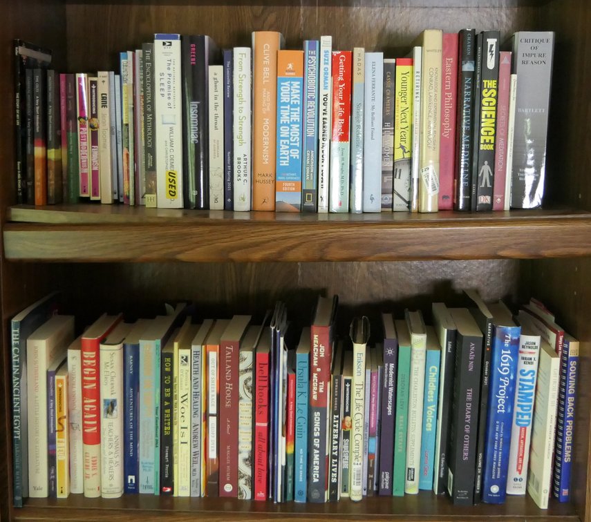 Two Shelves of Books