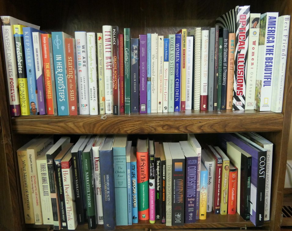 Two Shelves of Books