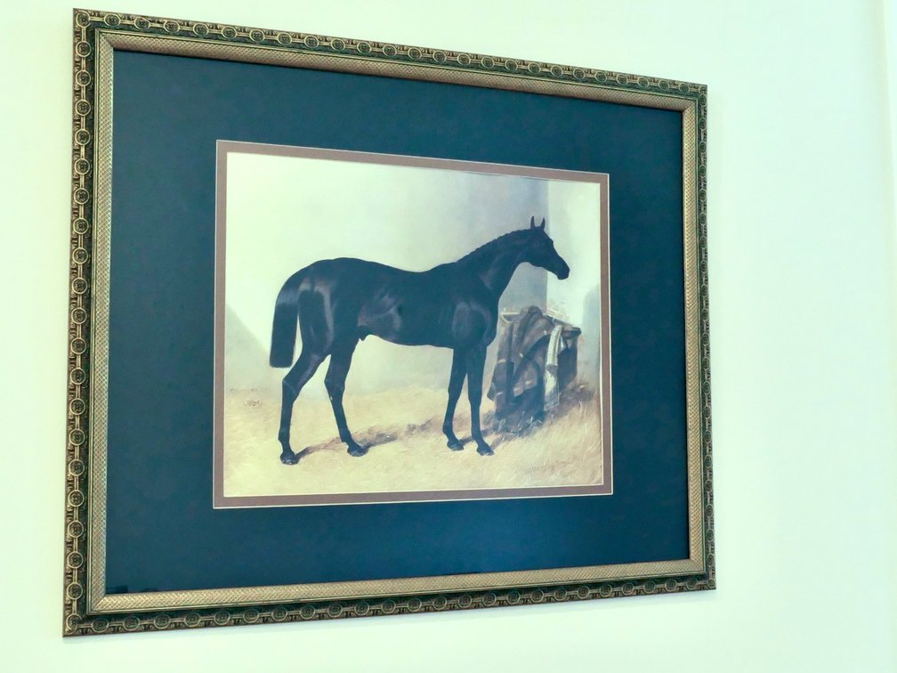 Framed Print "Charles XII the Race Horse, 1839"