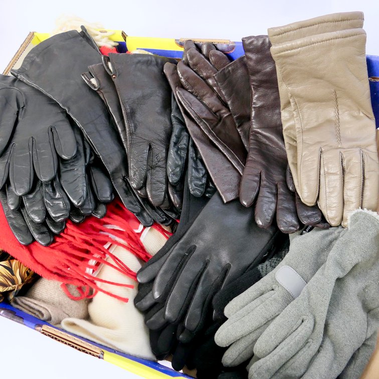 Ladies Scarves and Gloves