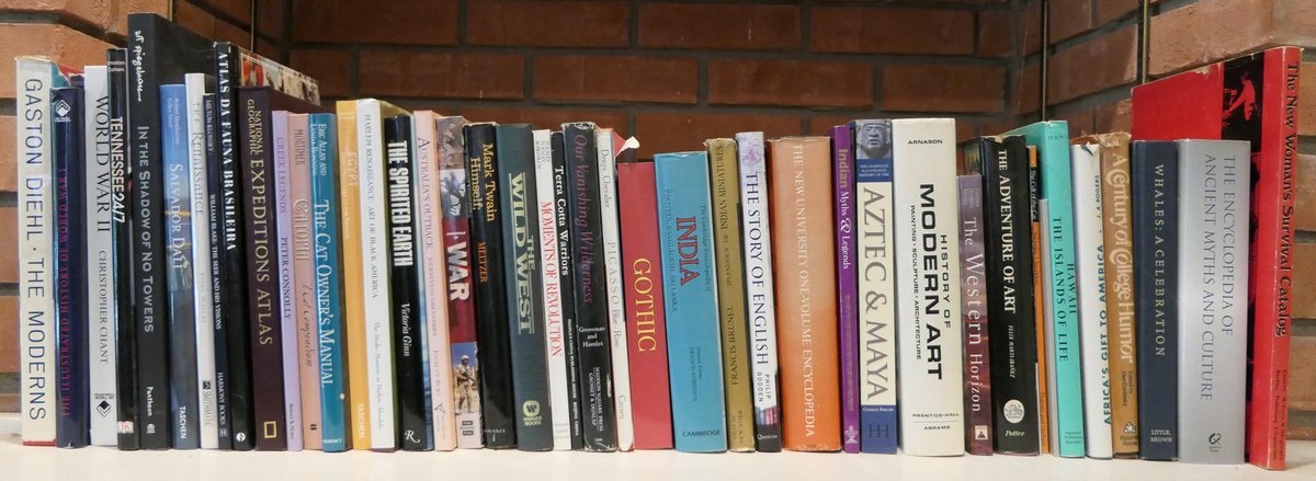 Shelf of Books