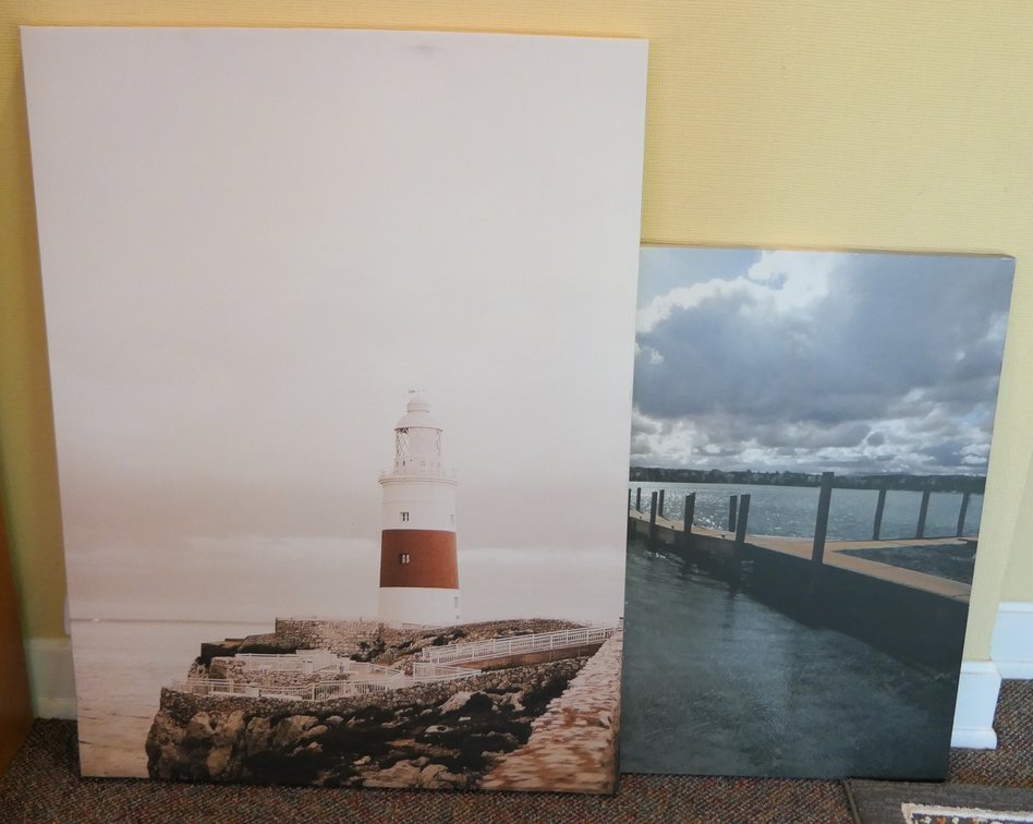 Water Themed Printed Canvases