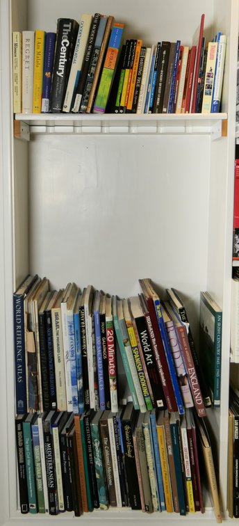 Three Shelves of Books