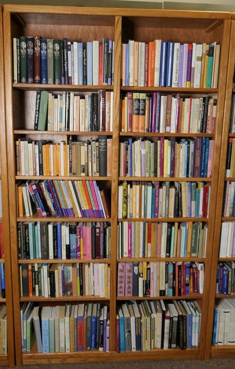 Double Oak Bookcase