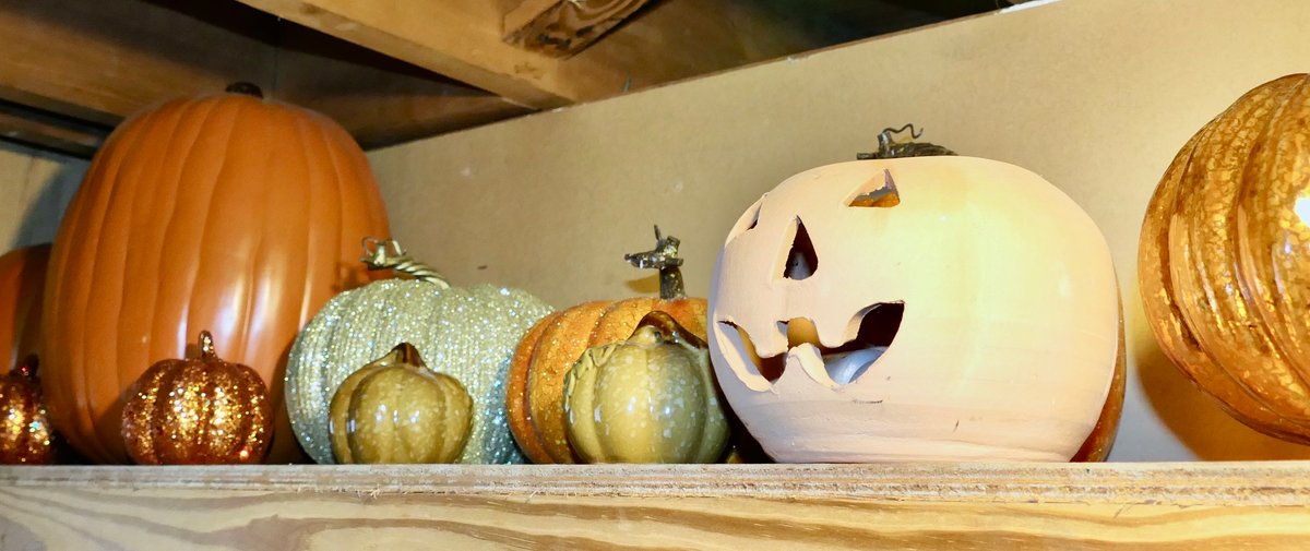 Shelf of Autumnal Decorations
