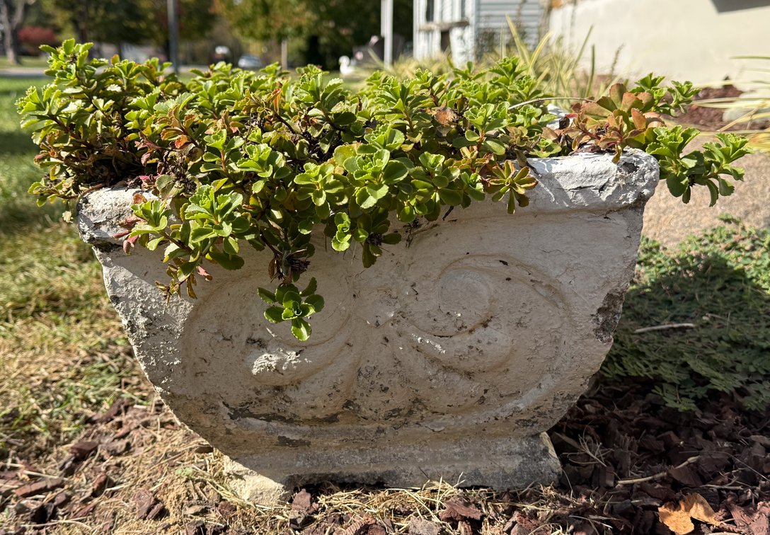 Square Concrete Planter with Plants