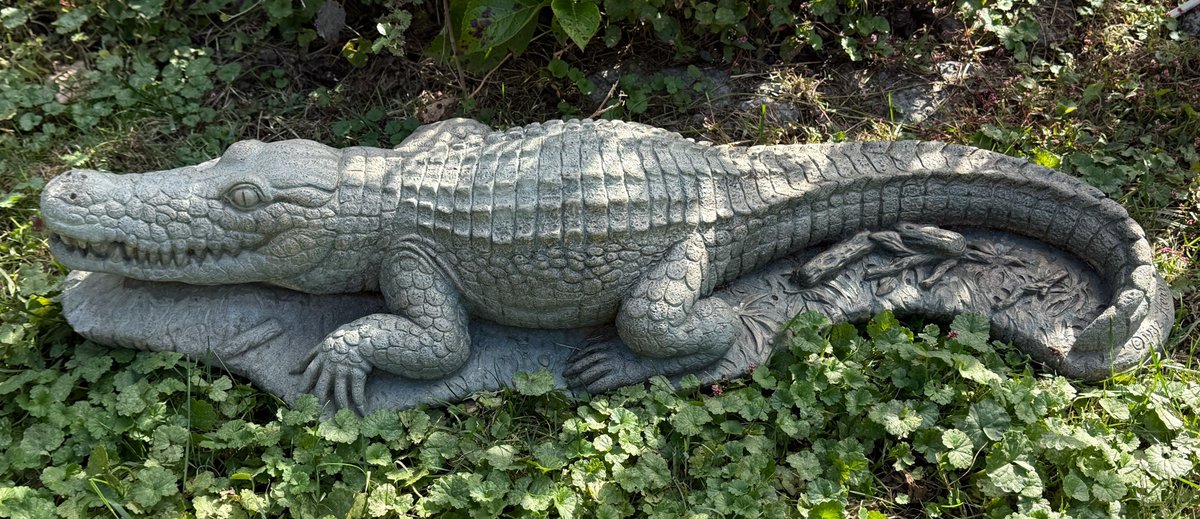 Concrete Alligator Garden Statue