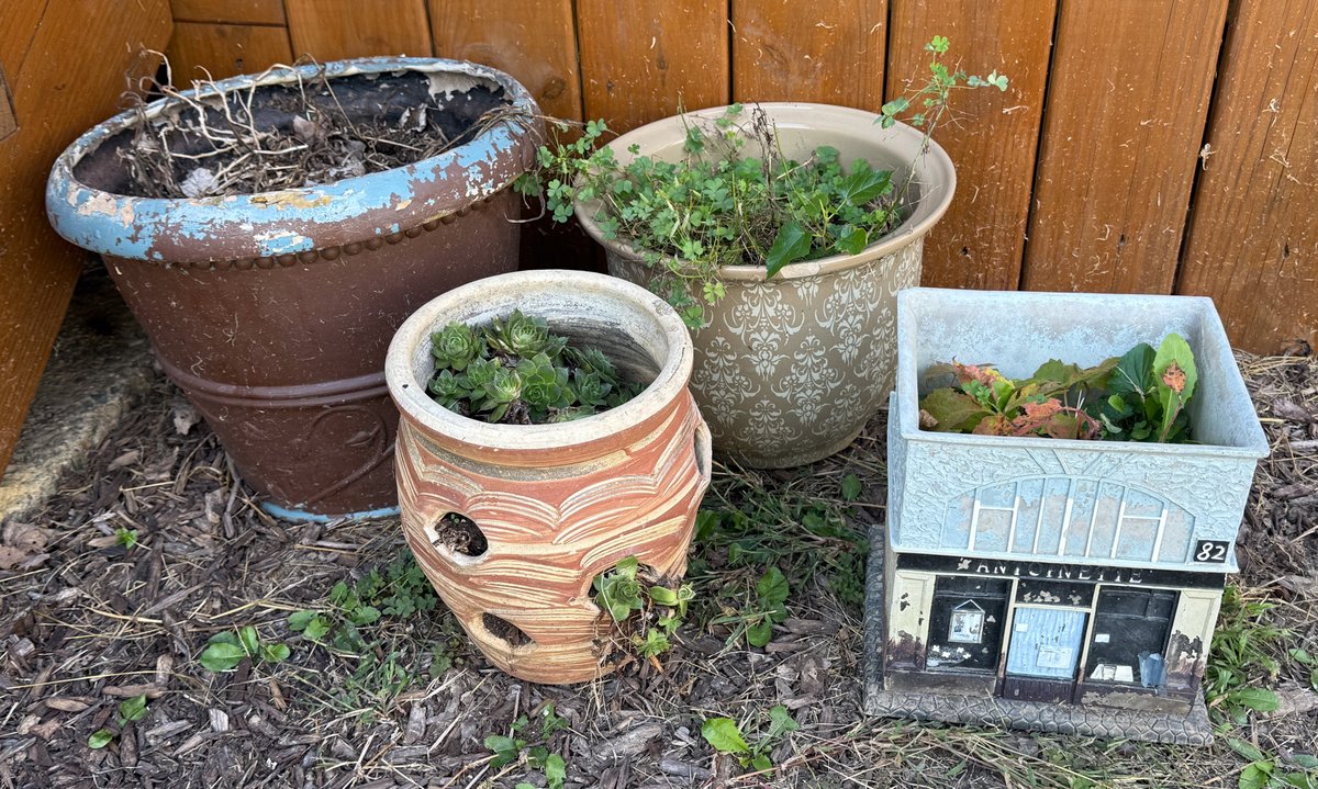 Four Planters