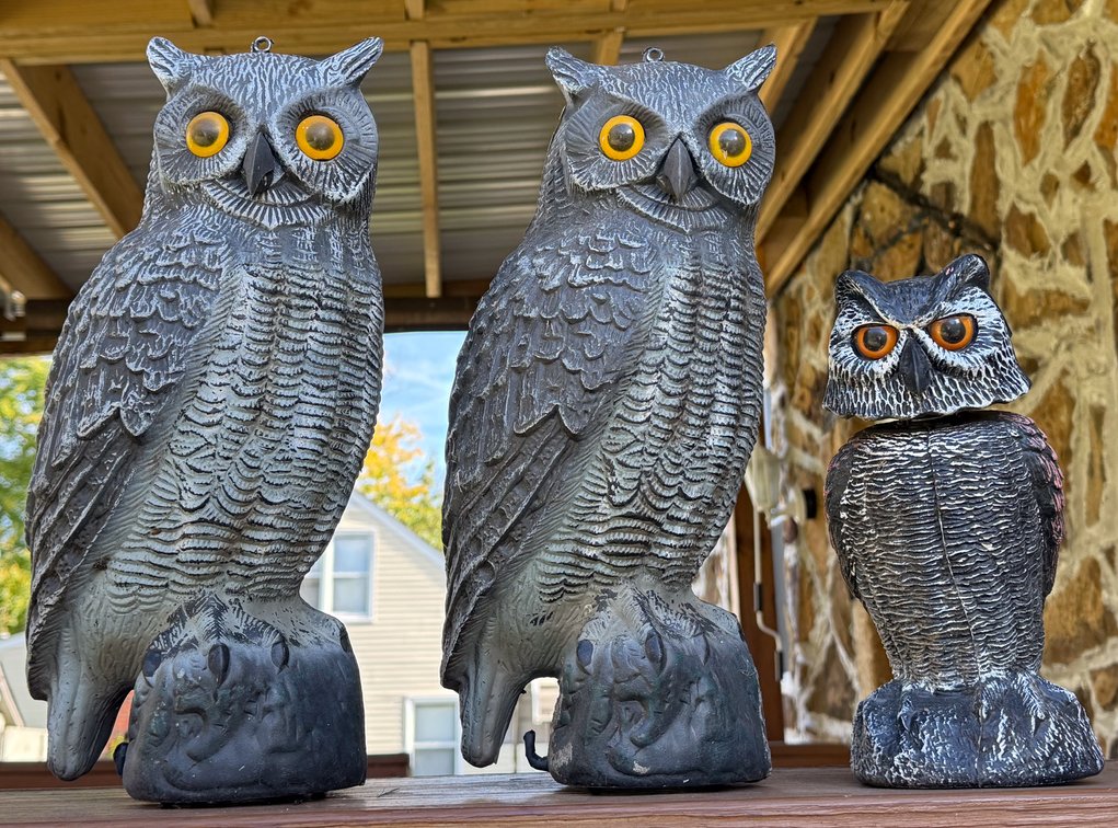 Three Owl Decoys