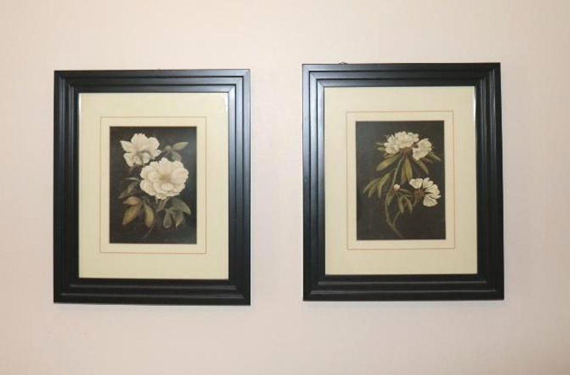 Two Framed Rhododendron Prints by Regina Andrew