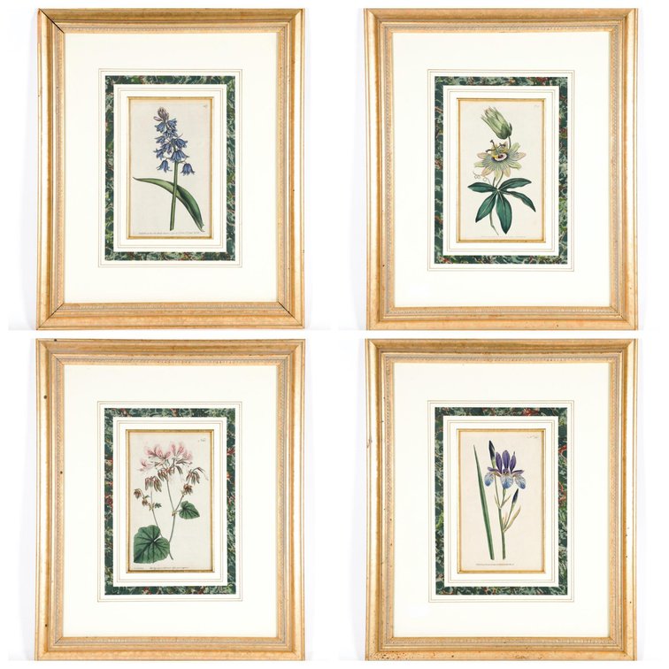 Set of Four Antique Hand Colored Botanical Engravings