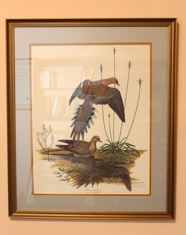 Ray Harm "Mourning Dove" Signed Print