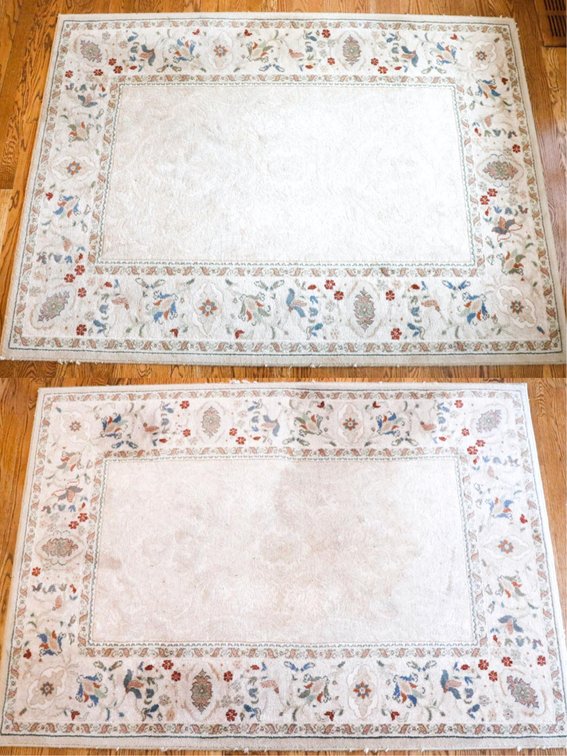 Pair of Karastan Area Rugs