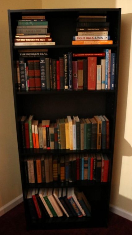 Two Black Bookshelves