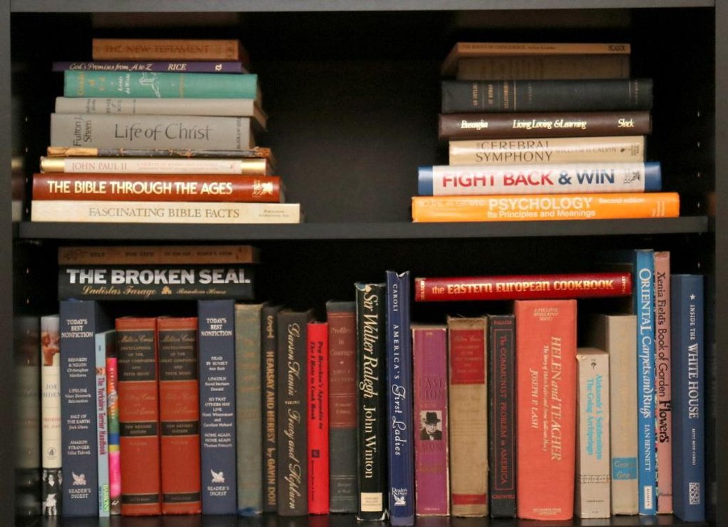 Two Shelves of Books