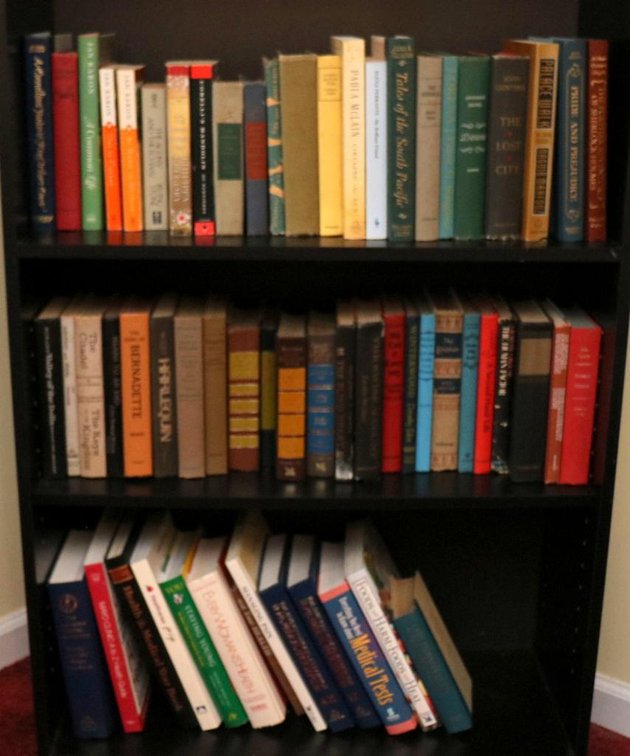 Three Shelves of Books