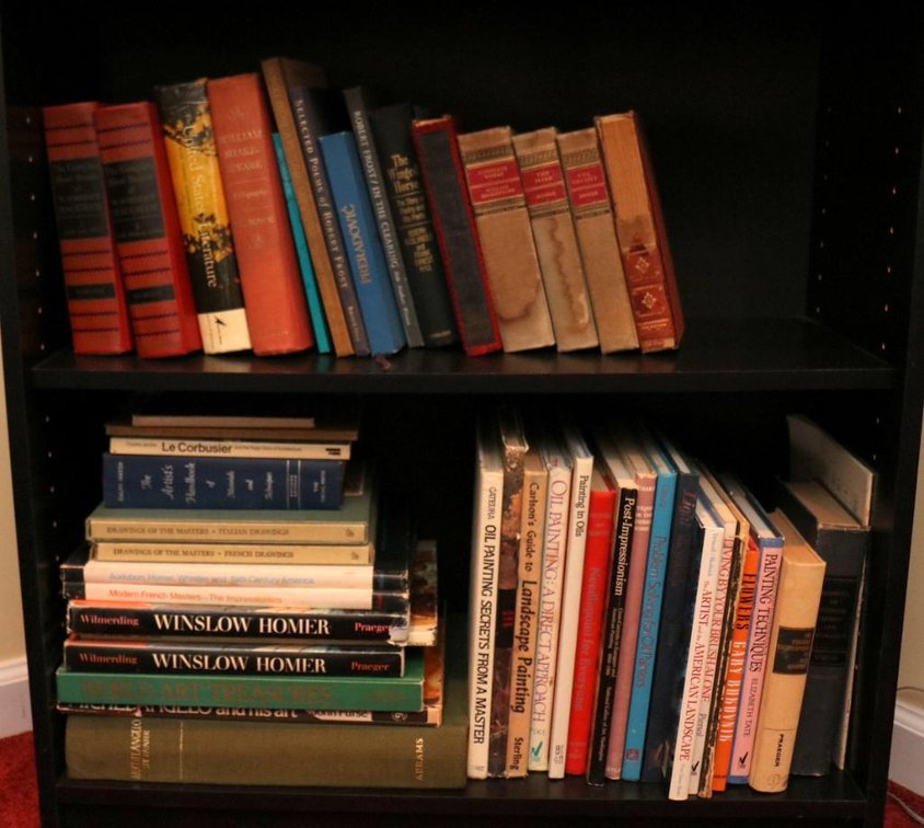 Two Shelves of Books