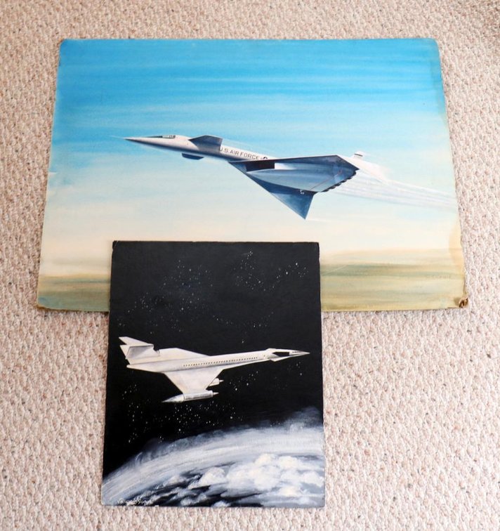 Two Unframed Original Acrylic Paintings