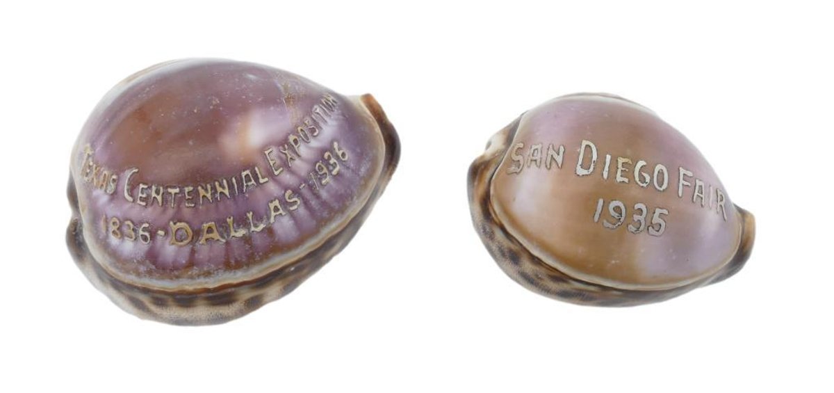 Two Vintage World's Exposition Souvenir Carved Cameo Sea Shells