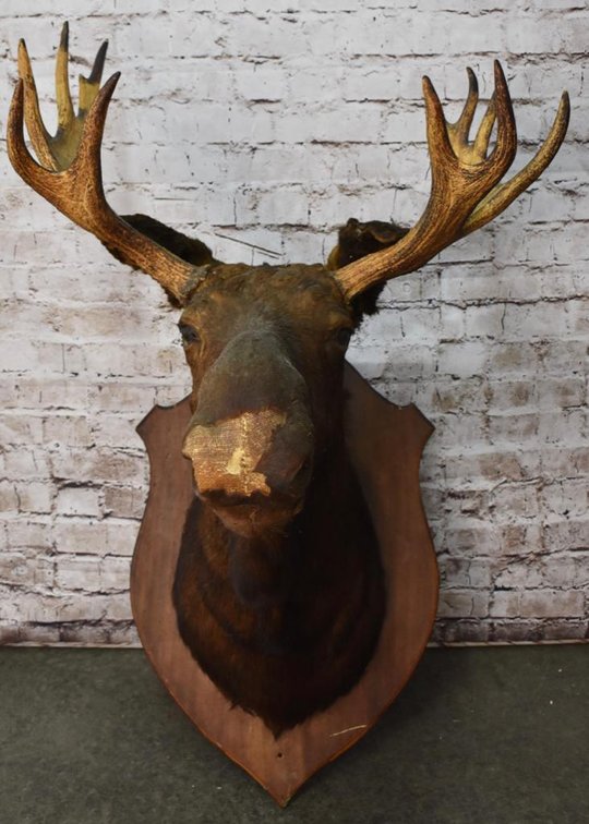Image for Bourbon & Collectibles Part 2
