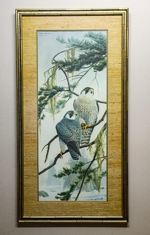 "Peregrine Falcons" by Arthur Singer