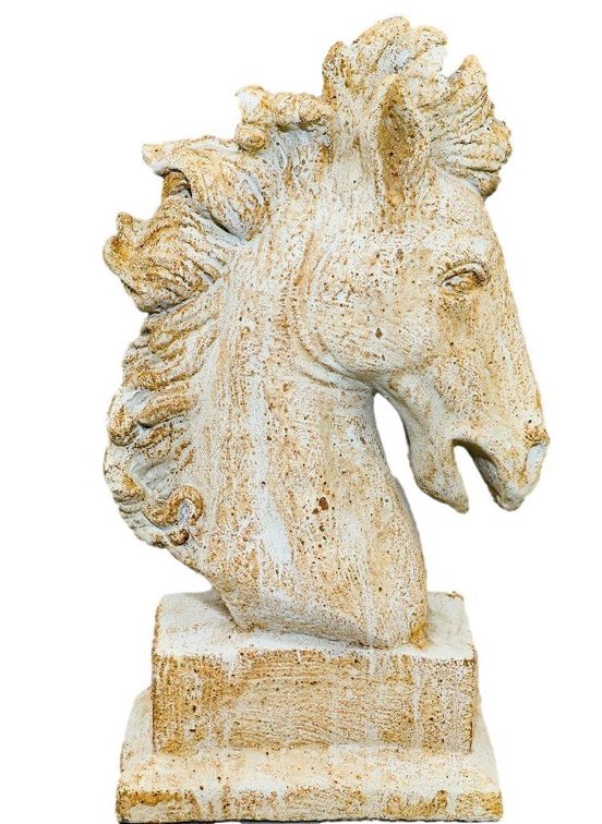 Stone Like Horse Head
