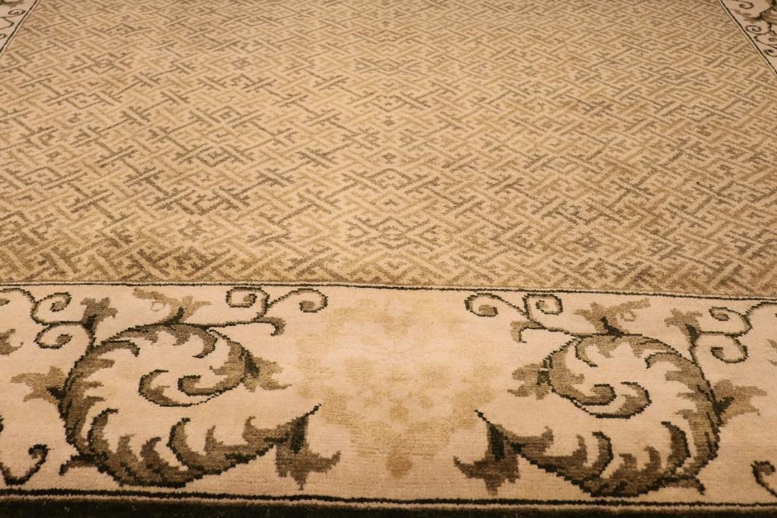 Hand Knotted Wool Transitional Rug