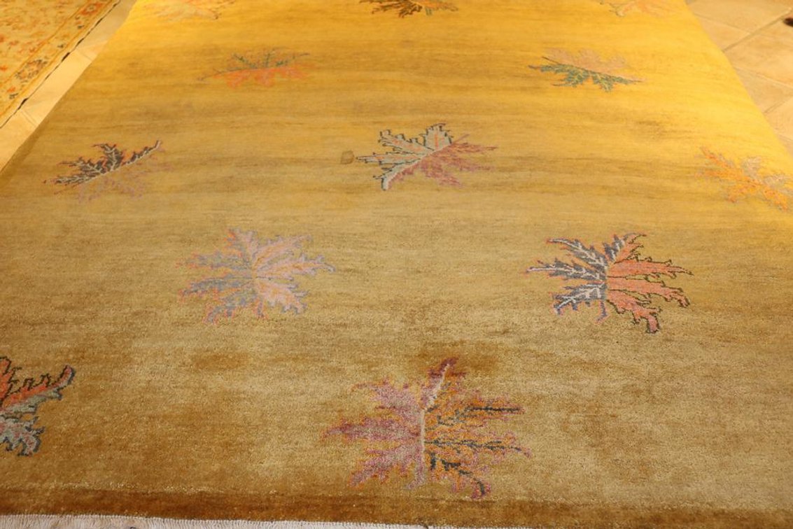 Hand Knotted Wool Transitional Rug From India