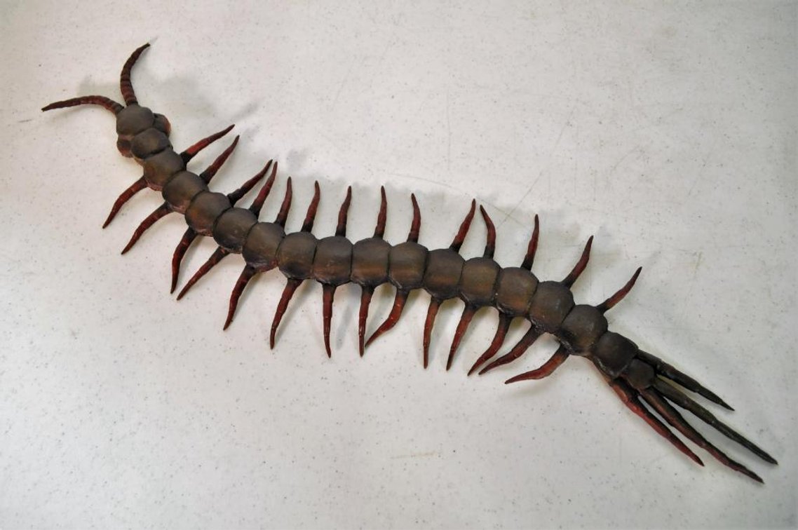 Giant Centipede Prop