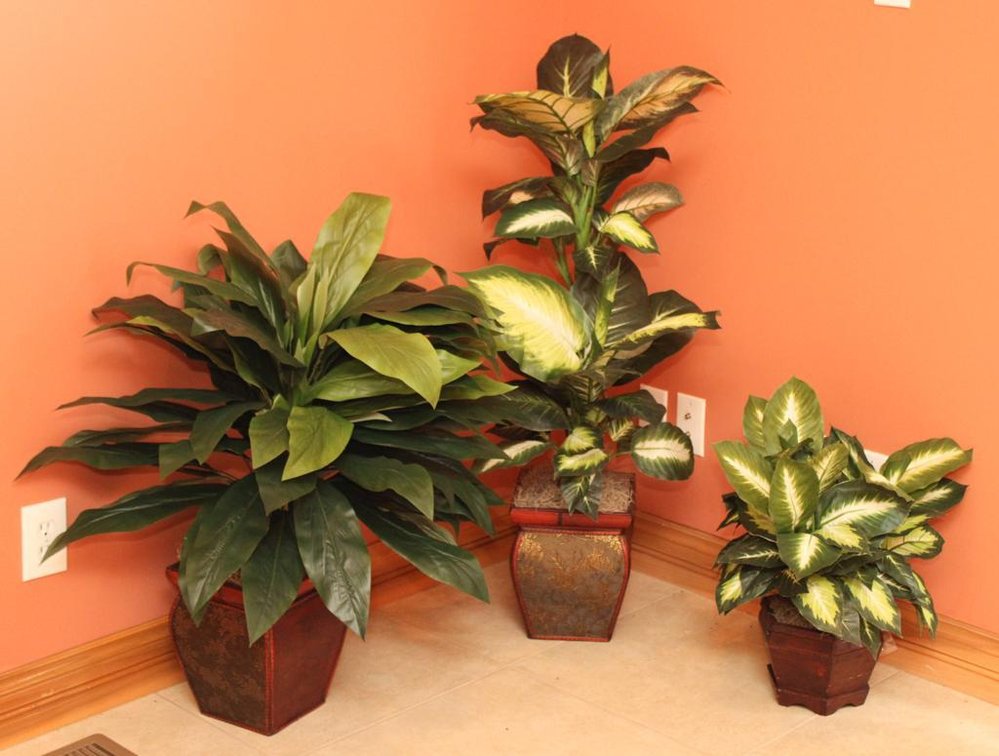 Three Faux Plants