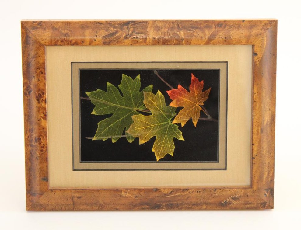 3D Leaf Artwork