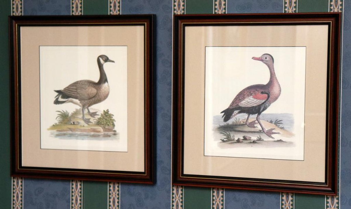 Two Hand Colored Ducks