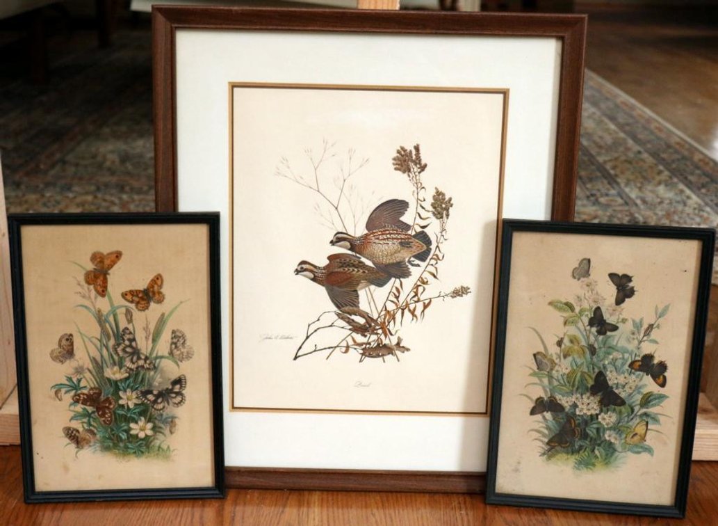 Three Bird and Butterfly Prints