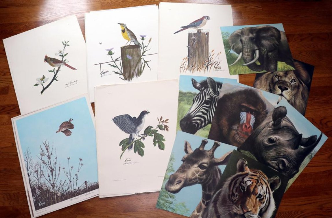 Collection of  Animal- Themed  Prints