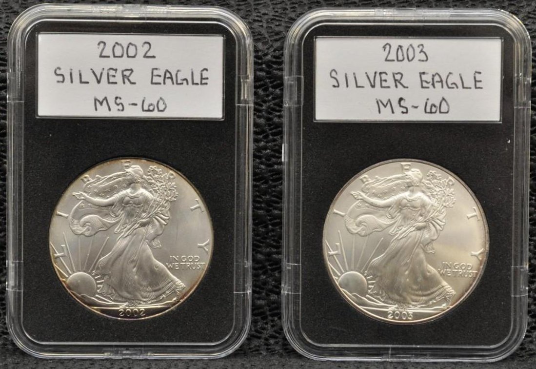 2002 and 2003 Silver Eagles Dollars