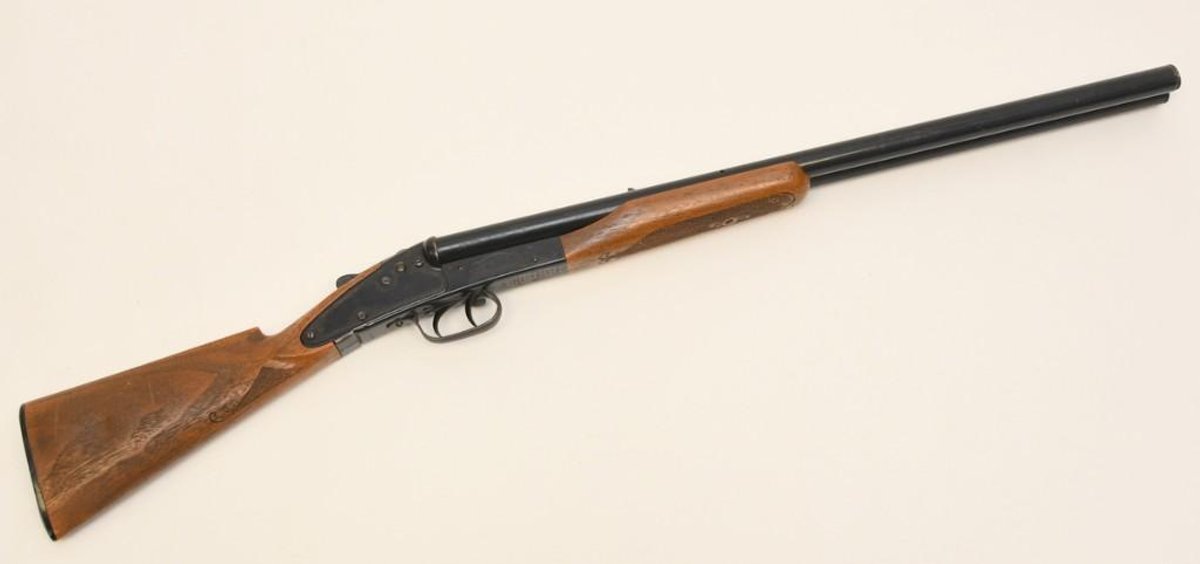 Daisy Model 21 Double Barrel BB Gun