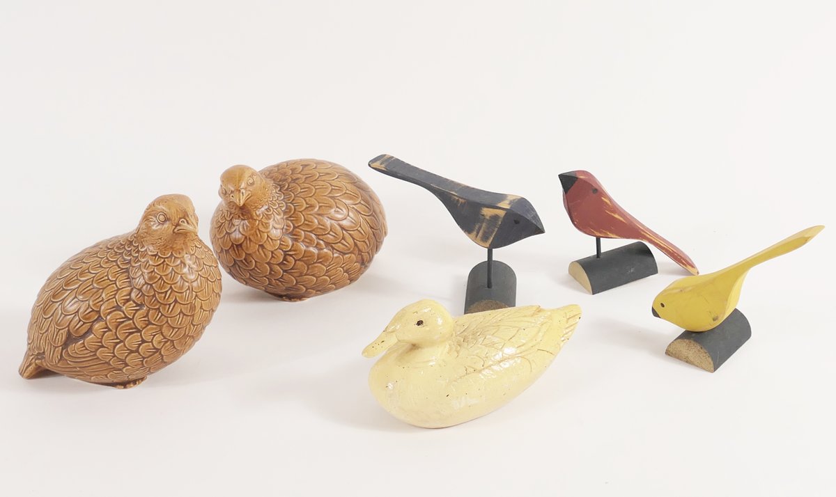 Bird Collection