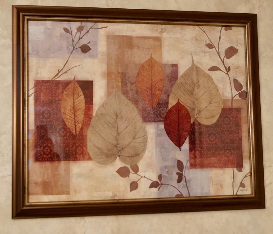 Framed Print by Cynthia Coulter