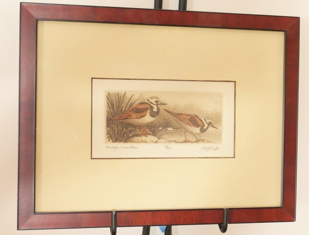 Ruddy Turnstones Signed Print