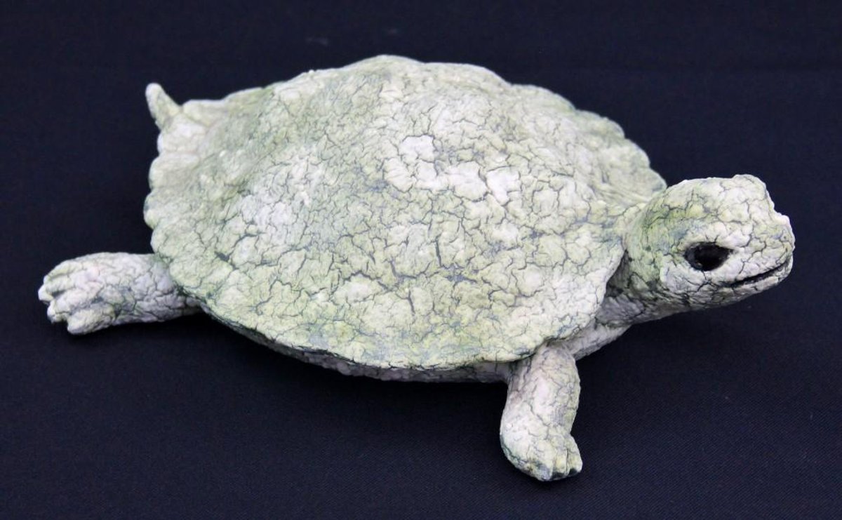 Cast Plaster Turtle