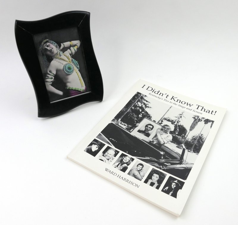 Image for Hollywood & Beyond: The Ward Harrison Estate