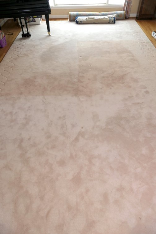 Stainmaster Room Rug