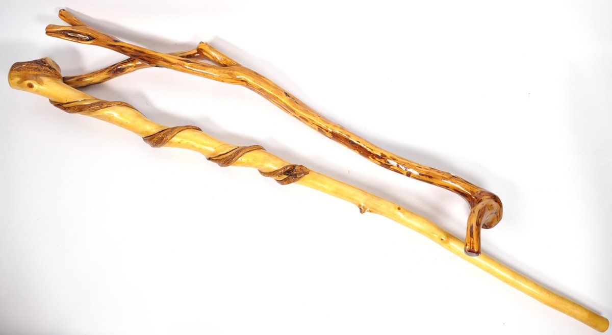 Two Organic Walking Sticks