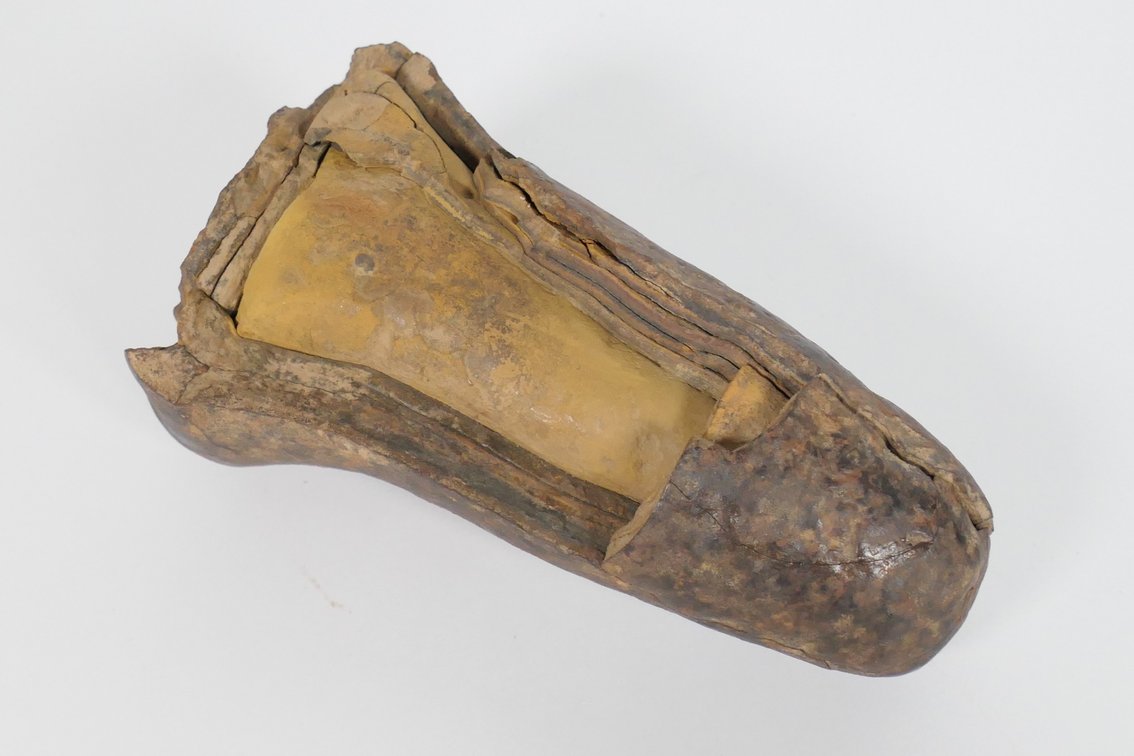 Interesting Fossil
