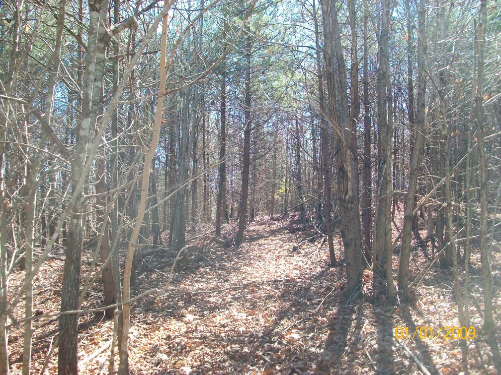 Image for Absolute Trustee Auction - House and lots selling in 3 tracts - Danville VA