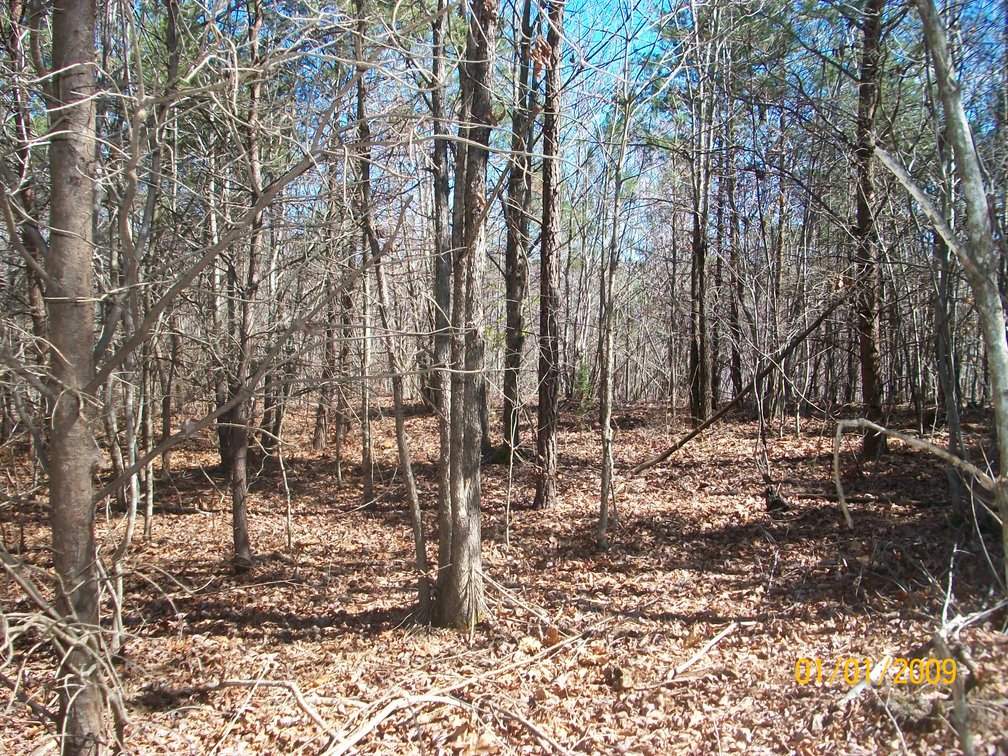 Image for Absolute Trustee Auction - House and lots selling in 3 tracts - Danville VA