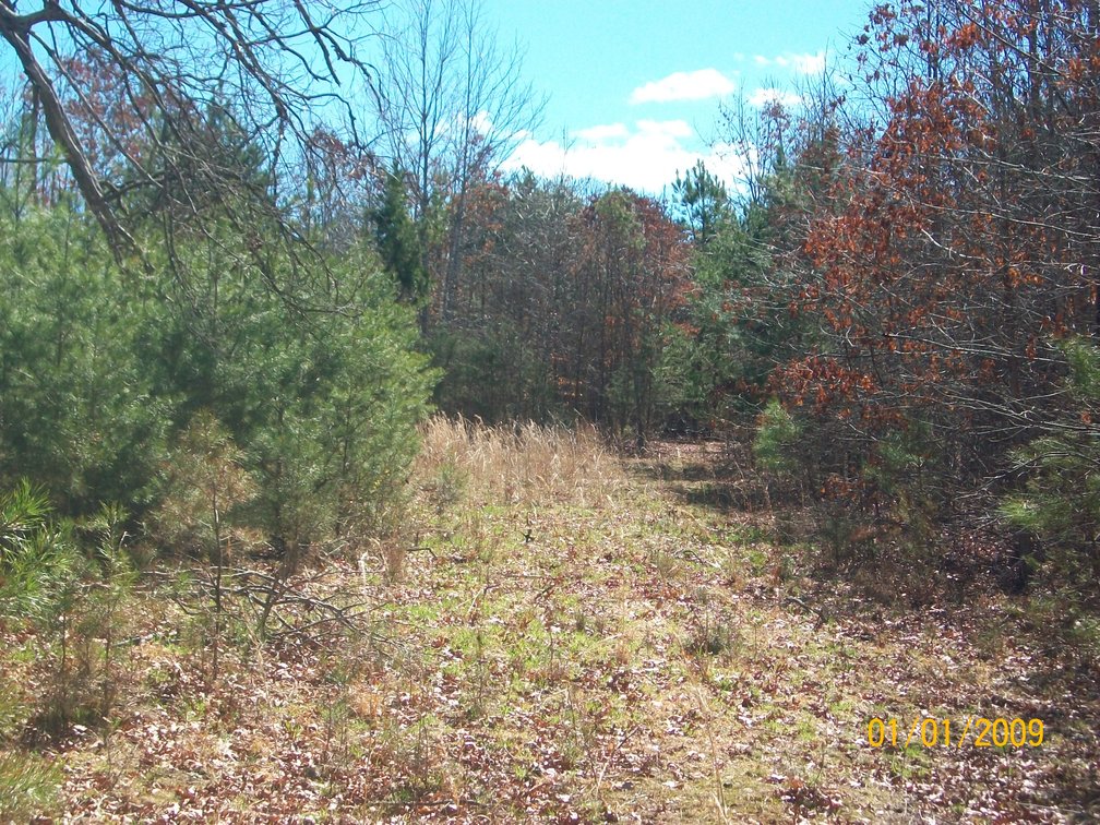 Image for Absolute Trustee Auction - House and lots selling in 3 tracts - Danville VA